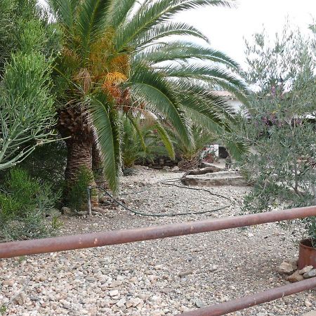 Rooiklip Camp Flintstone Exterior foto
